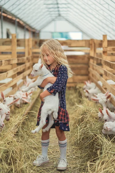 Adorable kid hugging goat at farm — Stock Photo