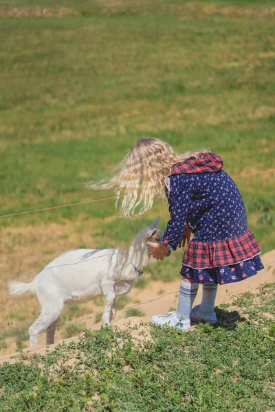 Rückansicht eines Kindes, das mit Ziege durch Zaun auf Bauernhof spielt — Stockfoto