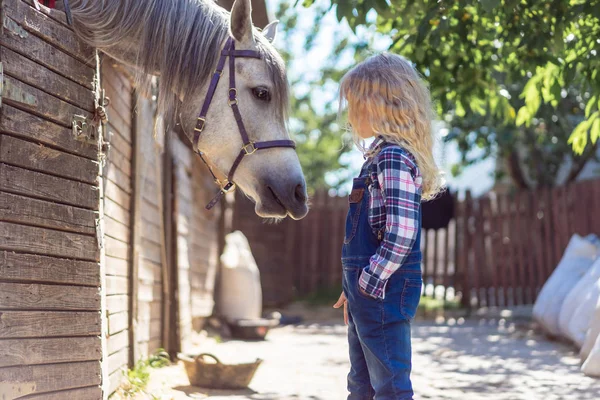 Vista lateral da criança olhando para o cavalo branco na fazenda — Fotografia de Stock