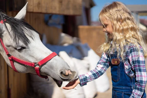 Vista lateral de criança sorridente alimentando cavalo na fazenda — Fotografia de Stock
