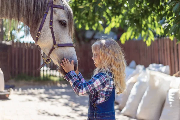 Vista laterale del cavallo palming bambino in azienda agricola — Foto stock