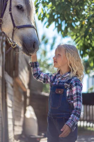 Vue latérale d'un pré-adolescent touchant un cheval blanc à la ferme — Photo de stock