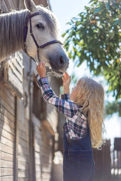 Seitenansicht eines Kindes, das auf einem Bauernhof Hand an ein weißes Pferd reicht — Stockfoto