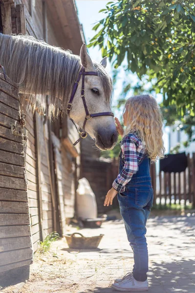 Vista lateral da criança tocando cavalo branco no rancho — Fotografia de Stock