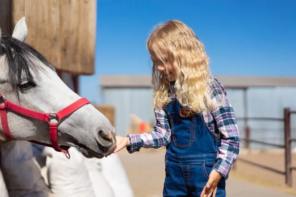 Vista lateral del niño alimentando a caballo blanco en la granja - foto de stock