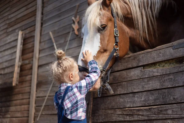 Preteen kid palming big horse at farm — Stock Photo