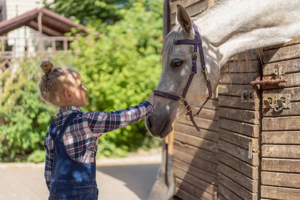 Side view of pre-adolescent child palming horse at farm — Stock Photo