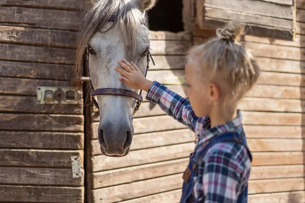 Kid palming white horse at farm — Stock Photo