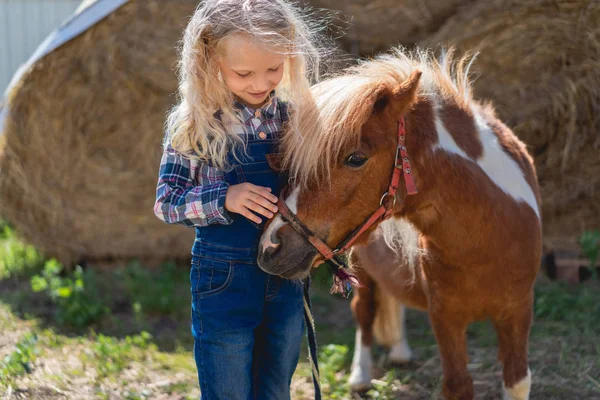 Pony — Foto stock