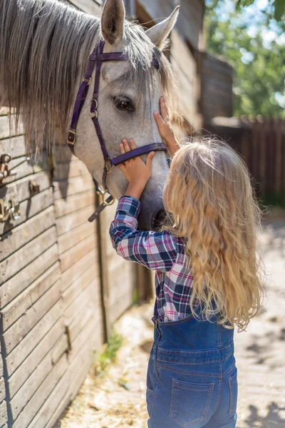 Side view of preteen kid touching horse at farm — Stock Photo