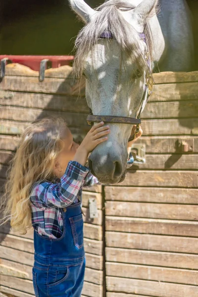 Preteen enfant toucher cheval à la ferme — Photo de stock