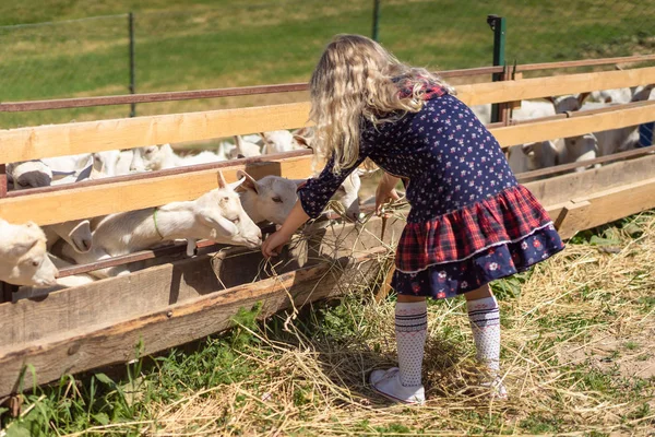 Campagne — Photo de stock