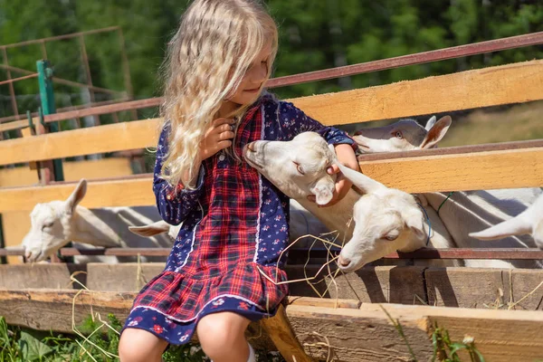 Entzückendes Kind sitzt auf Zaun und palmt Ziege auf Bauernhof — Stockfoto