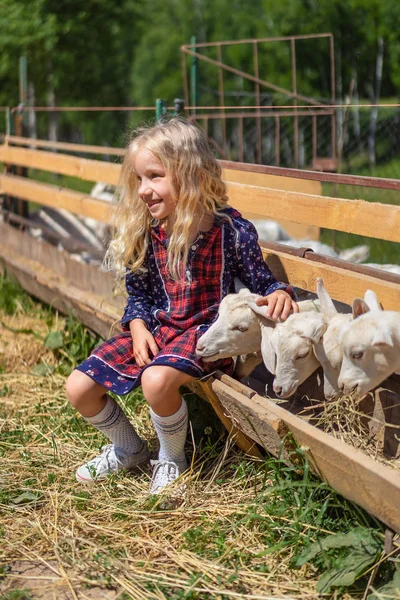Niño sonriente sentado en la valla y abrazando cabra en la granja - foto de stock