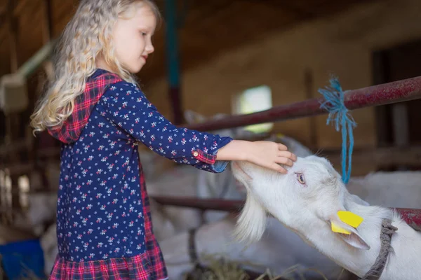 Vue latérale de l'enfant palming chèvre à la ferme — Photo de stock