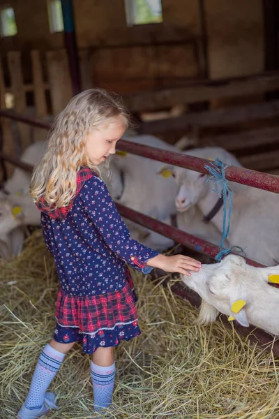 Side view of kid palming goat at farm — Stock Photo