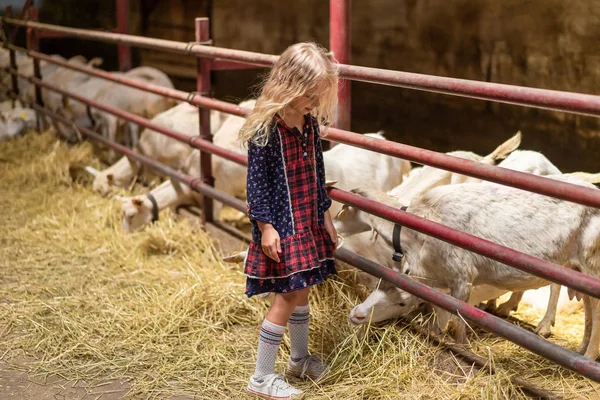 Barn — Stock Photo