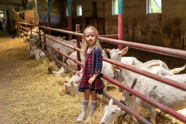 Adorable kid leaning on fences in barn and looking away — Stock Photo