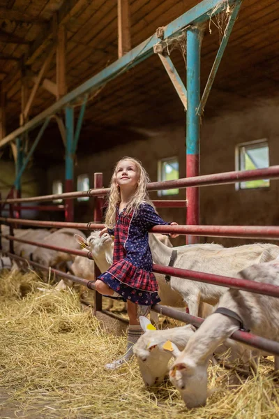 Enfant souriant appuyé sur des clôtures dans la grange et levant les yeux — Photo de stock