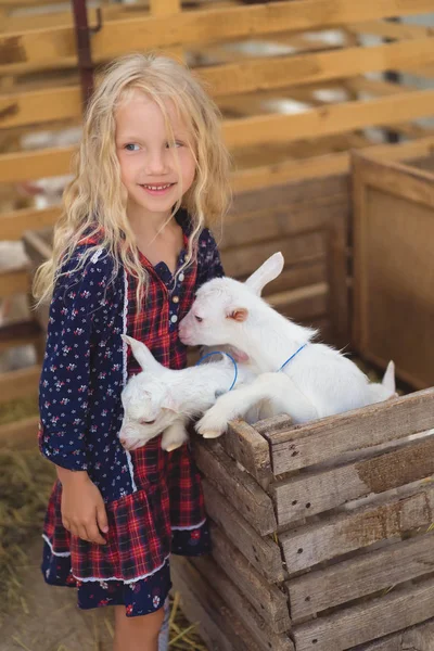 Entzückend — Stockfoto