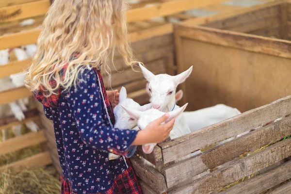 Side view of kid hugging goats at farm — Stock Photo