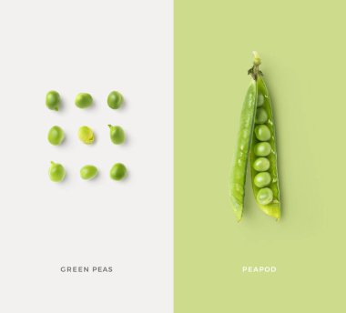 creative food / nutrition / diet concept with fresh green peas in a group and single open pea pod, minimalist colorful graphic layout or background clipart