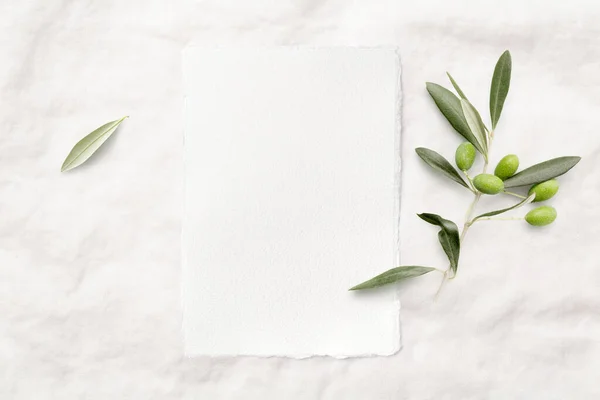 feminine minimalist styled wedding stationery mockup with a blank invitation card (portrait format) and a fresh olive twig on a white soft linen background, flat lay / top view