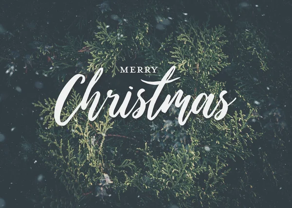 Frohe Weihnachten Text Grüße Über Einem Matten Hintergrund Aus Immergrünen — Stockfoto