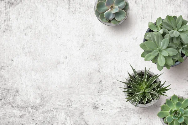 Minimalistische Achtergrond Met Verschillende Sapjes Een Geschilderd Wit Houten Bureau — Stockfoto