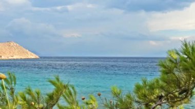 Çamın dalları bulutlu gökyüzü ve deniz dalgalı yanında rüzgarda sallanan