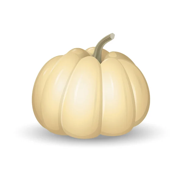 White Pumpkin Cartoon Vector Illustration Isolated White Background — Stock Vector