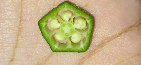 Bhindi Okra Okro Abelmoschus Esculentus Também Conhecido Como Dedos Das — Fotografia de Stock