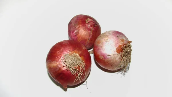 Bola Lampu Onion Yang Indah Atau Allium Cepa Dengan Latar — Stok Foto