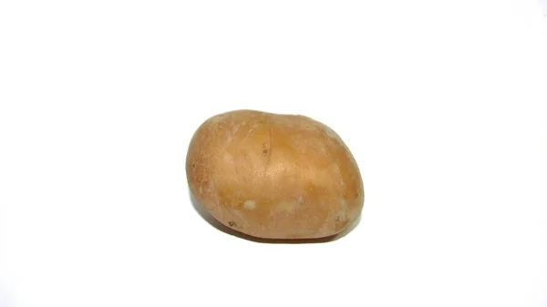 Pomme Terre Solanum Tuberosum Sur Fond Blanc — Photo