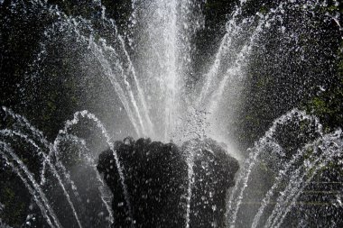 Beyaz fıskiyeyi kapat.