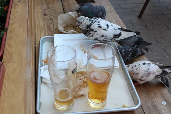 Birds Pigeons Finish Food Summer Cafe People — Stock Photo, Image