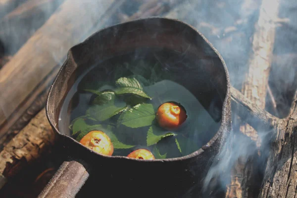 Preparación Bayas Rosa Mosqueta Hojas Una Olla Sobre Fuego — Foto de Stock