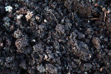 Gevşek toprak yakın plan. Toprak, kil, taşlar.
