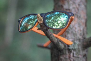 Ormandaki ağaçta asılı duran turuncu aynalı güneş gözlükleri.