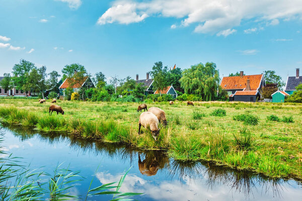 Rural village houses scene view.