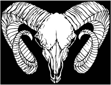 bir keçi kafası kafatası çizimi