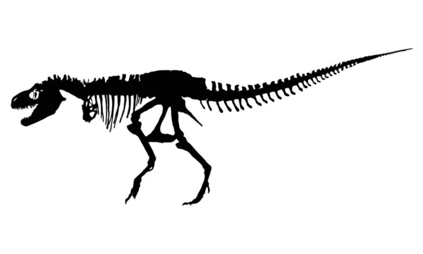 恐龙骨架剪影的恐龙骨架图像 一个可以编辑的大图像 适合在教科书和儿童读物中插图的图片 — 图库矢量图片