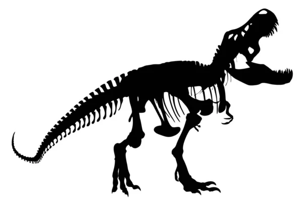 Vecktor Tyrannosaurus Csontváz Körvonalát Egy Nagy Képet Lehet Szerkeszteni Tankönyvekben Stock Illusztrációk