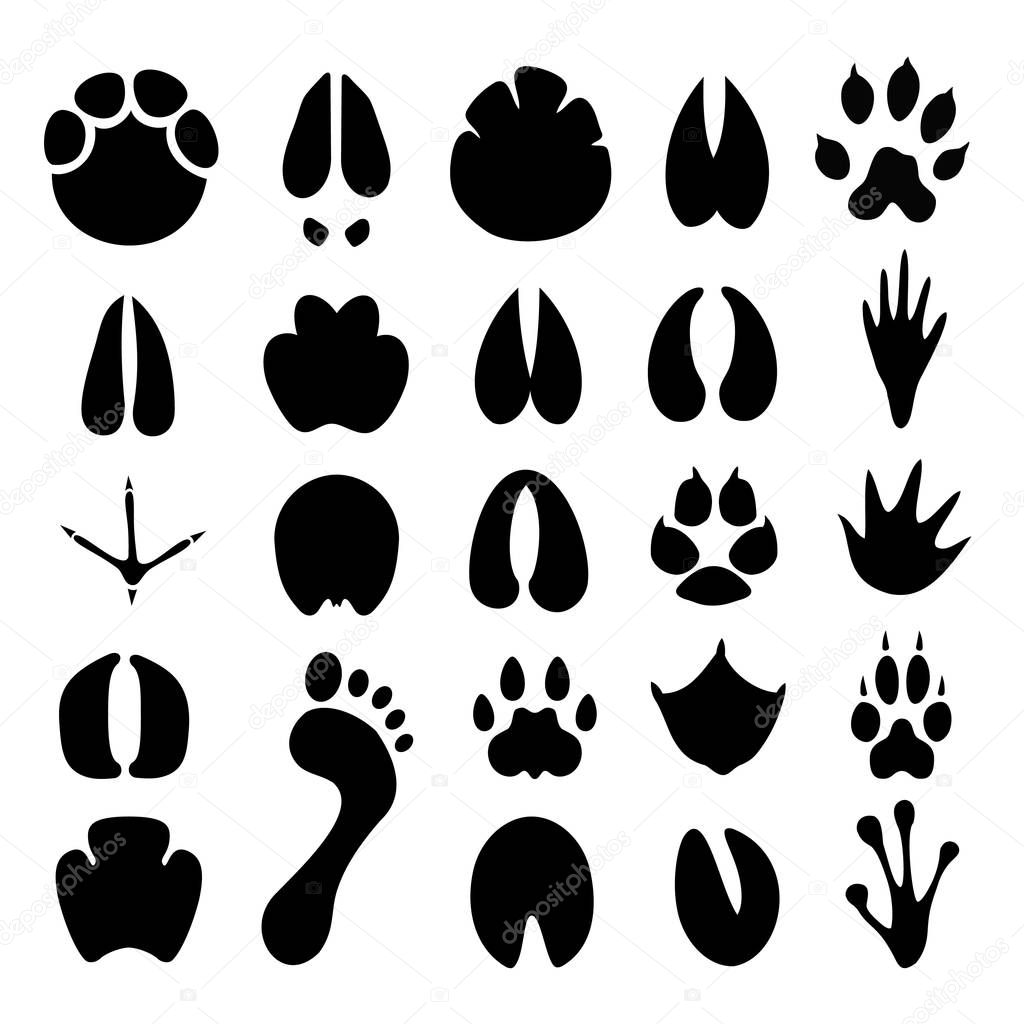 silhouette vector of various types of footprints, images measuring 3000x3000 pixels and can be edited again. images suitable for use as illustrations for opening lessons and children's playbooks.