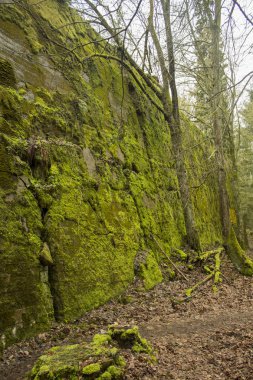 Wilczy Szaniec kwatera gwna Adolfa Hitlera. Gierloz.