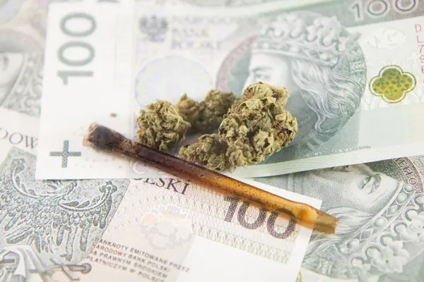 Orvosi Marihuána Stock Image Orvosi Kannabisz Cannabis Kábítószerek Marihuána Gyógynövény — Stock Fotó