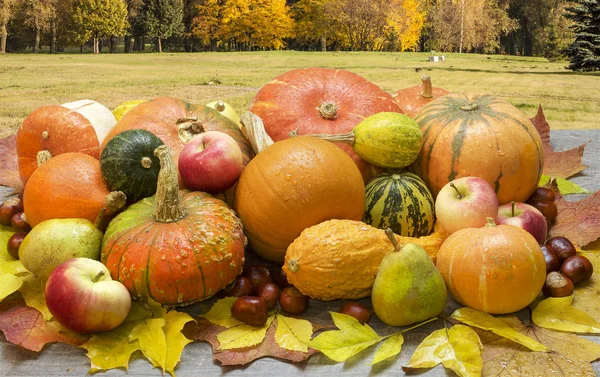 Monte Vários Legumes Frutas Mesa Jardim Fotografia Cores — Fotografia de Stock