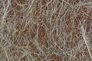 ahşap ve çim lifleri soyut dekoratif arka plan