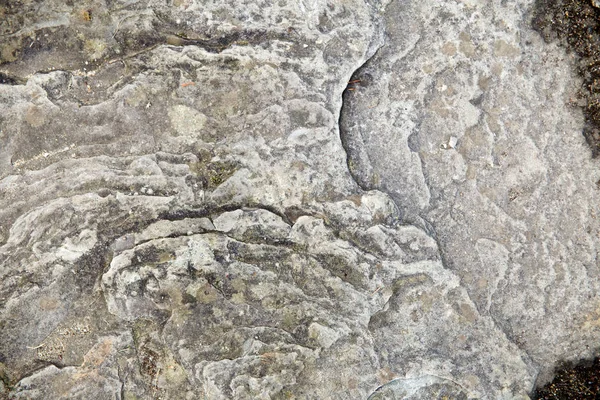Υφή Της Φυσικής Πέτρας Σχιστόλιθος — Φωτογραφία Αρχείου