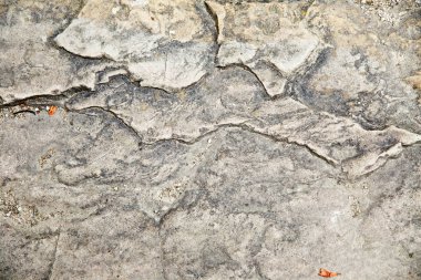 doğal taş kayrak doku